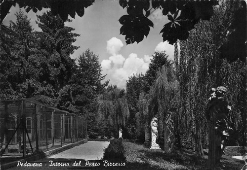 56e cartolina pedavena - 24-56e),