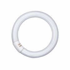 Tubo ad anello Osram L 32 W