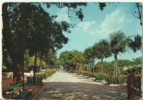 Cagliari giardini - -,