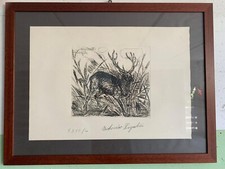 Lotto di Quadri  Varie Misure