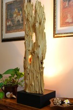 Legno di Deriva Piantana Luce