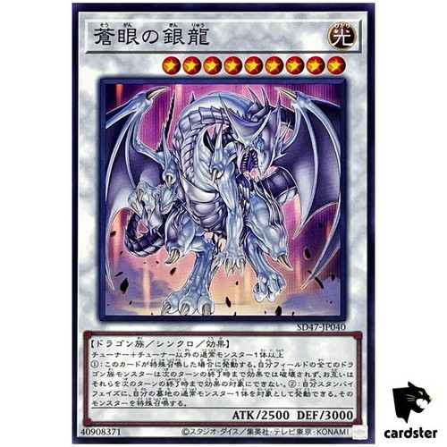 Drago argento occhi azzurri - drago,