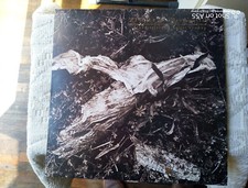Disco 33 giri - David Sylvian