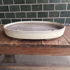 Grande vaso per bonsai