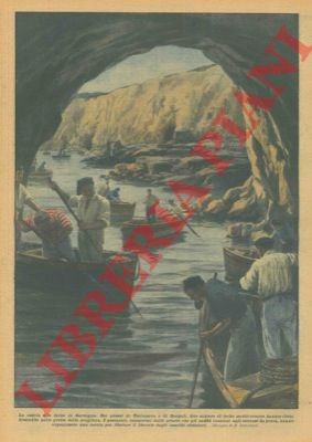 Salvadori la caccia alle - salvadori, r.