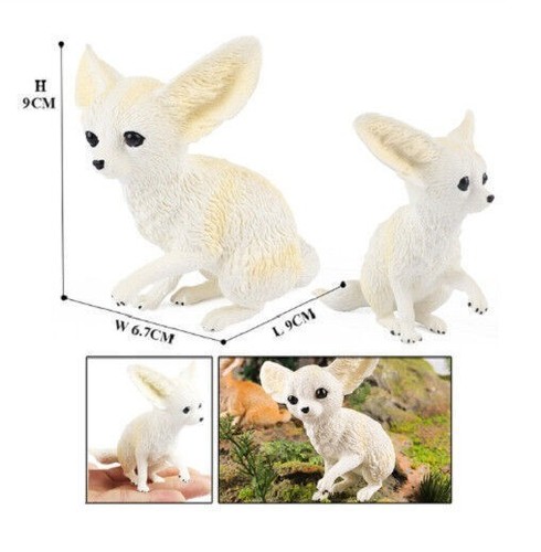 Mini volpe fennec bianca - bianca, 9