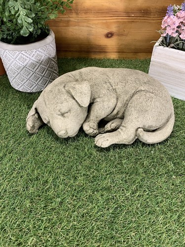 Statua regalo ornamento cane - statua,