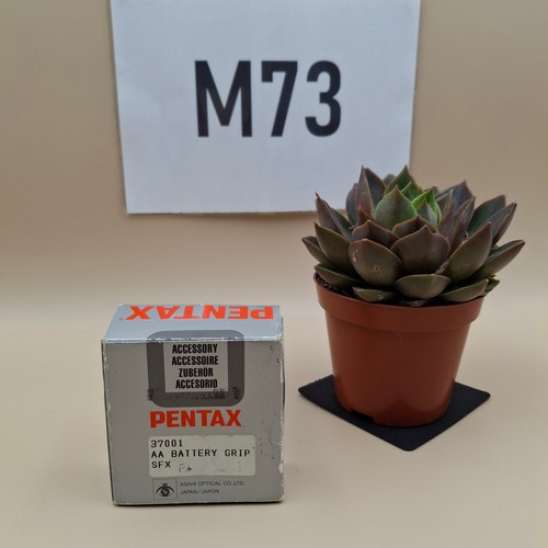 Pentax sfx porta batteria - batteria, /