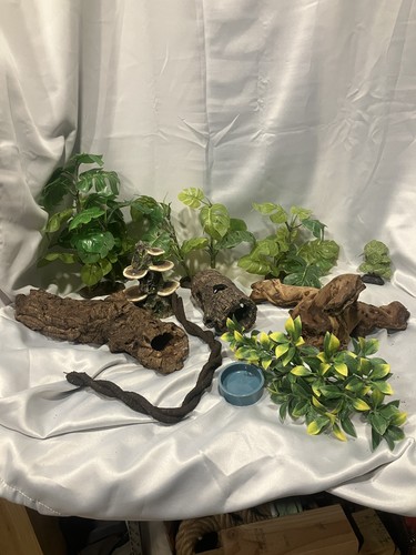 Decorazione terrario 11 - decorazione,