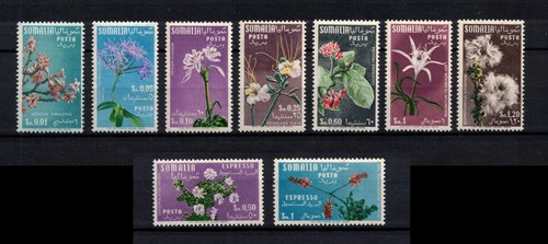 1955 somalia afis - afis,