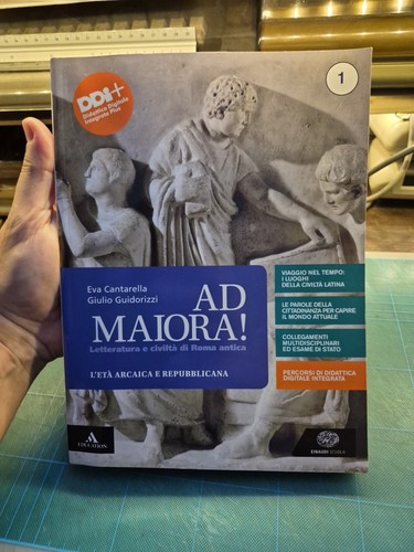 Libro maiora einaudi - libro, ad
