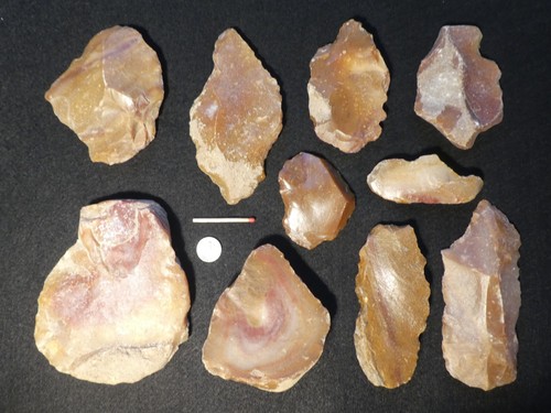 Sammlung große - 10,