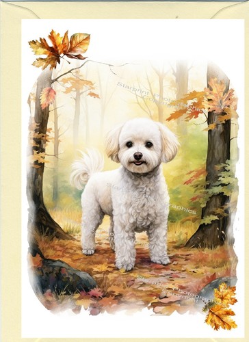 Biglietto auguri per cani - biglietto,