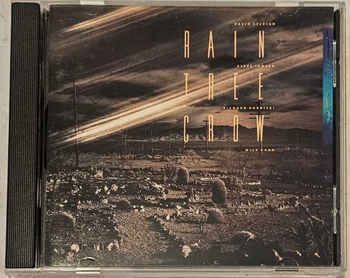 Original rain tree - tree, crow
