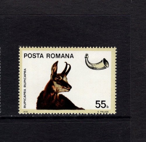 Romania 1976 camoscio - romania,