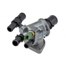 Zoppicare Termostato Acqua per