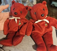 The Coastal Cubs Collection