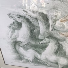 Domenico Purificato Litografia