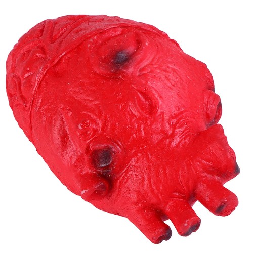 Decorazioni halloween - decorazioni,