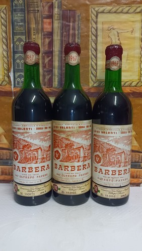 Vino 1967 barbera oltrepo - 1x,