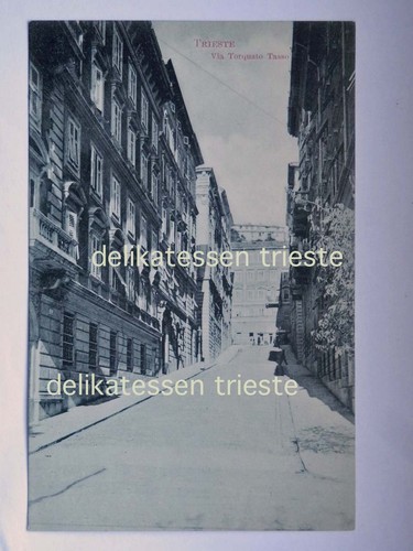 Trieste via torquato tasso - trieste,