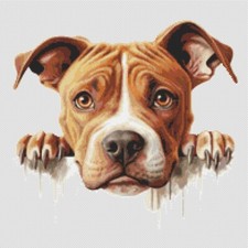 American Pit Bull Terrier cane cucciolo. Punto croce grande, moderno, originale