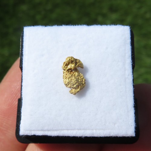 Minerali rara pepita d oro - minerali,