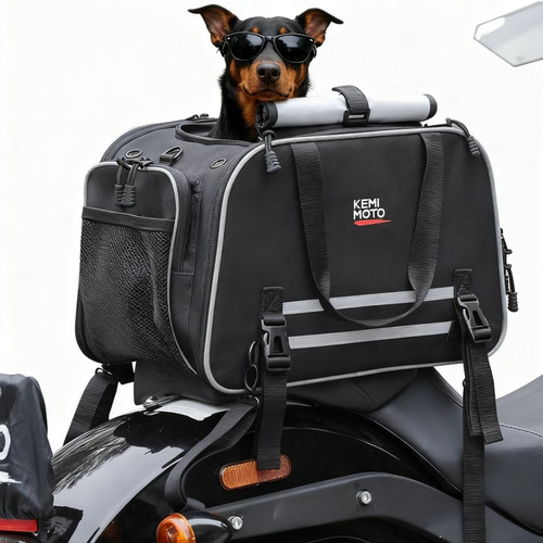 Trasportino per cani - trasportino, moto