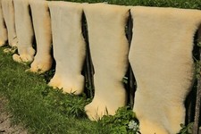 Pelliccia naturale bambino - pelliccia,