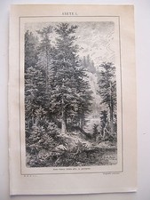 stampa antica old print FLORA