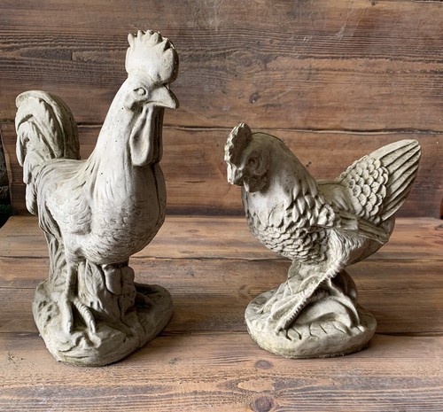 Coppia gallo pollo - di,