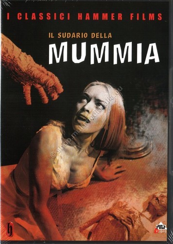 Sudario della mummia - sudario,