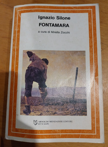 Libro romanzo fontamara - libro,