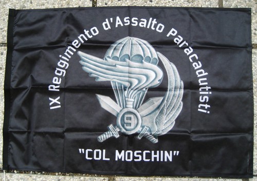 Bandiera reggimento - bandiera,