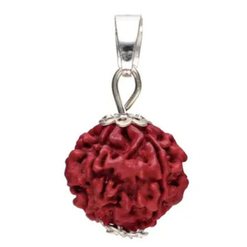Ciondolo seme rudraksha - ciondolo,