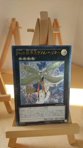Numero heraldic king genom - 8:,