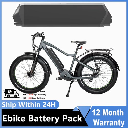 Batteria bici elettrica 48v - elettrica,