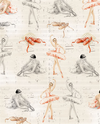 Carta regalo 70x100 ballerine - carta,