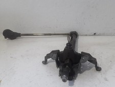 CANNA DELLO STERZO (PIANTONE)