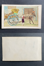 Horse trolley pulling barrels