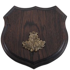 1Wappenschild Cinghiale Af