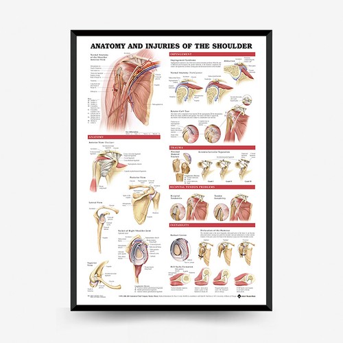 Poster fisioterapia educativa