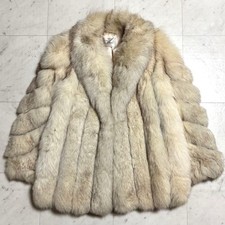 Belle Vison SAGA FOX ROYAL