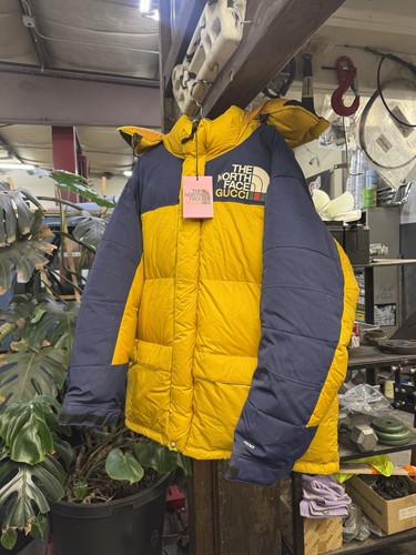 The north face gucci - the,