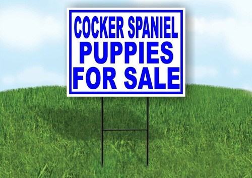 Cocker spaniel cuccioli - cocker,