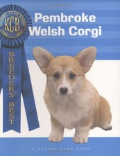 Pembroke Welsh Corgi