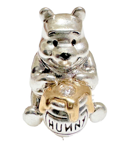 Charm winnie the - winnie,