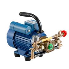 Spruzzatore Elettrico 3 Ugelli Spruzzatore Portatile Tuffatore Pompa Acqua per Fattoria Frutteti