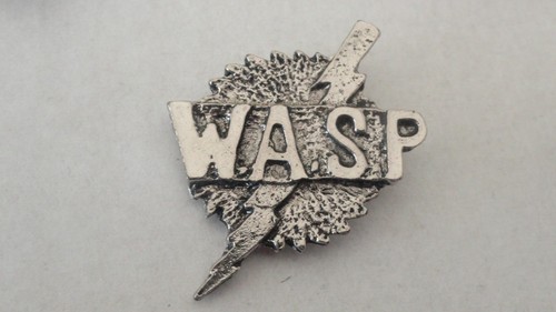 Pin groupe metal wasp - 3d,