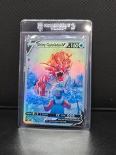 PokeTeamLegends Carta Pokemon